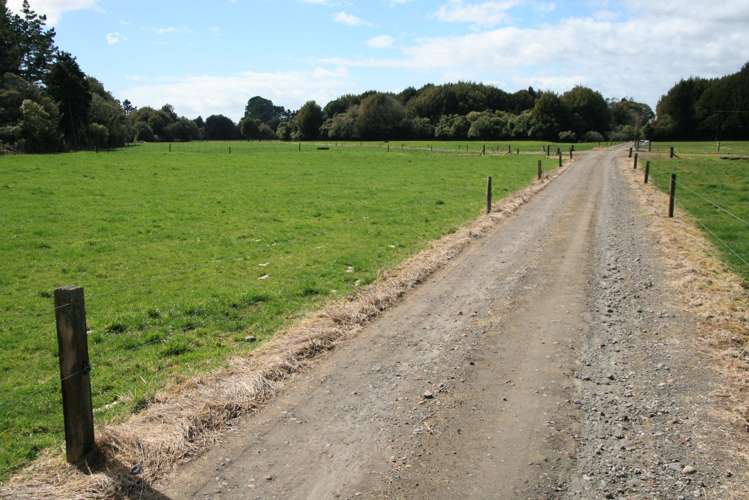 2403 Mountain Road Tariki_8