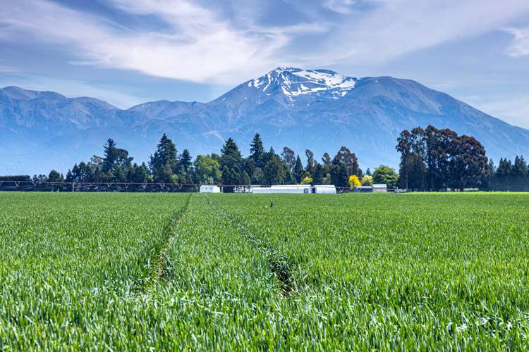 337 Reynolds Road Methven_13