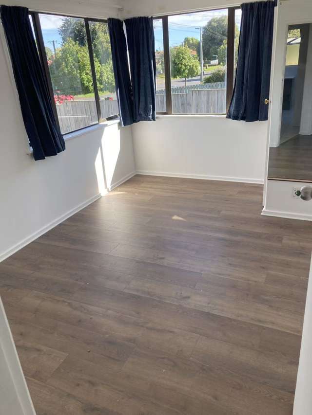 47 Tripoli Road Panmure_4