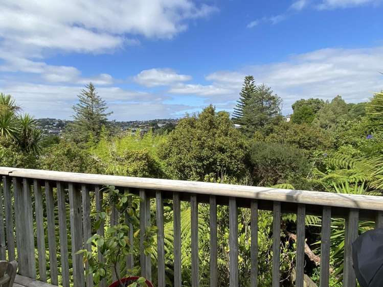 88B Carlisle Road Browns Bay_27