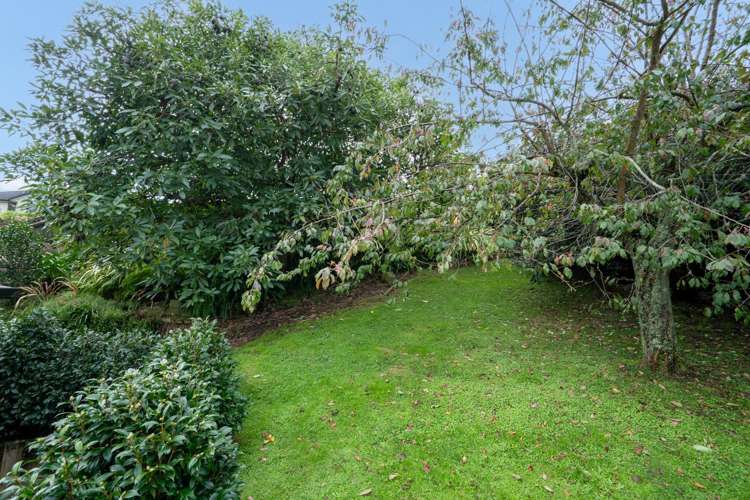 11A Hall Street Cambridge_13