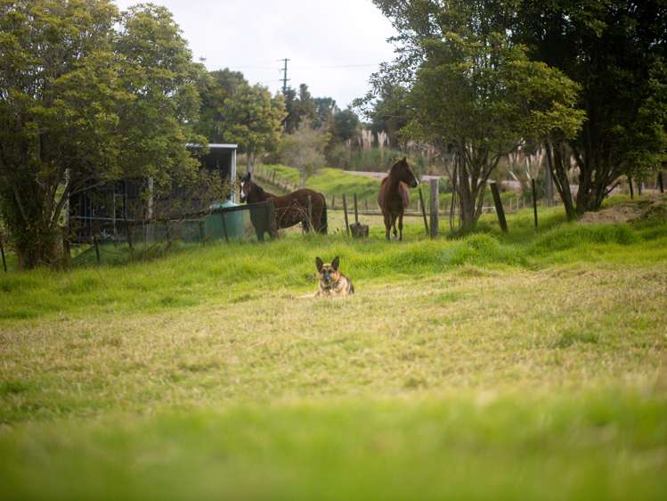 94 Montrose Road Kerikeri_19