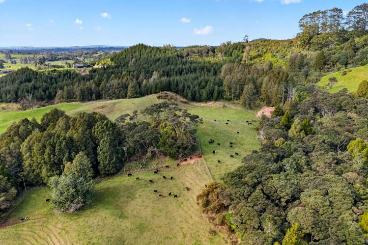 Lot 2 Annett Road Kumeu_12