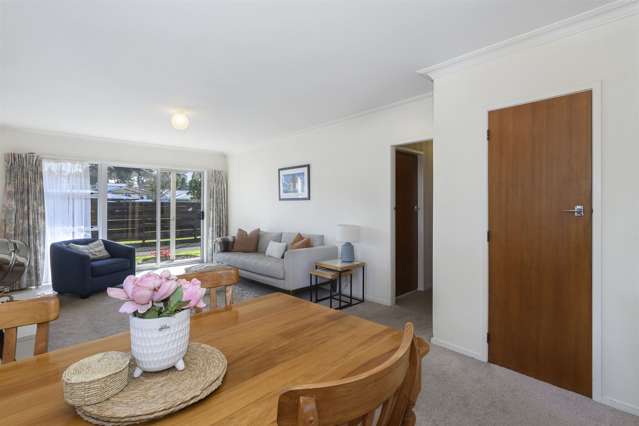 16c Burrows Street Tauranga South_4