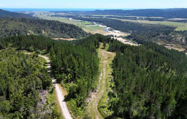 Humphreys Gully Road Hokitika_1