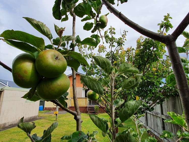 52 Wallace Place Westown_20