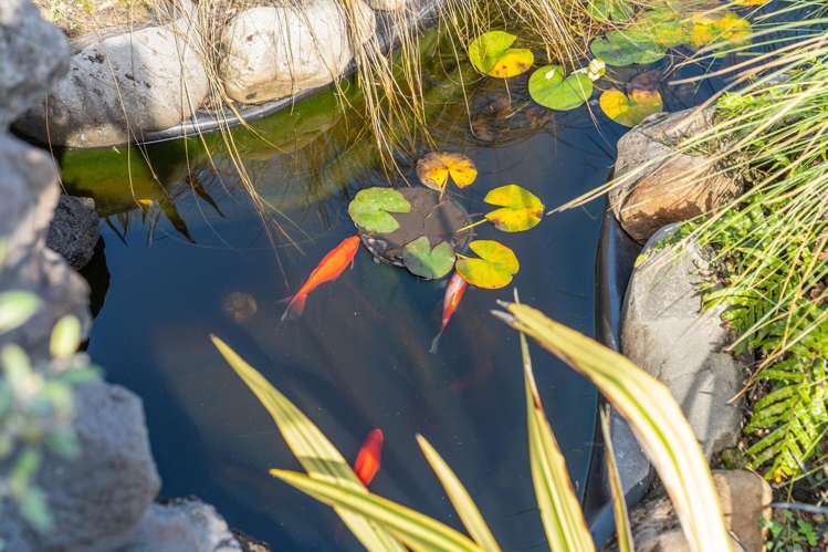 308A Fabians Road Greytown_30