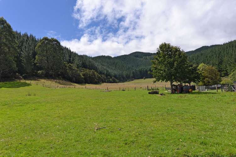 739 Tadmor-Glenhope Road Kahurangi National Park_16