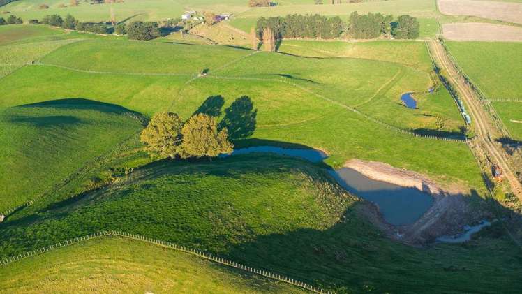 180 Tipapakuku Road Dannevirke_18