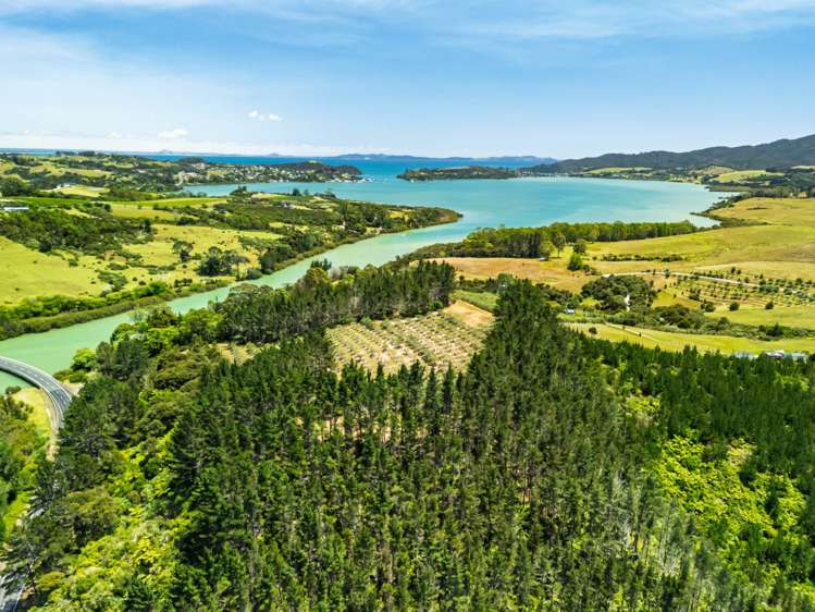 2884A State Highway 10 Mangonui_36