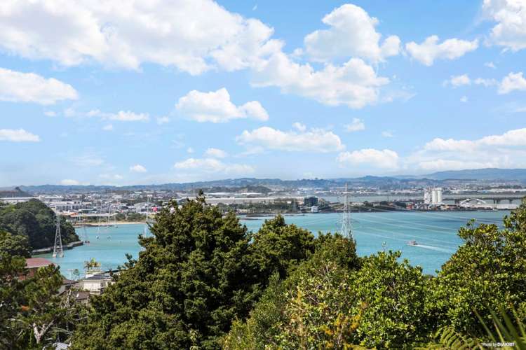 40 Goodall Street Hillsborough_1