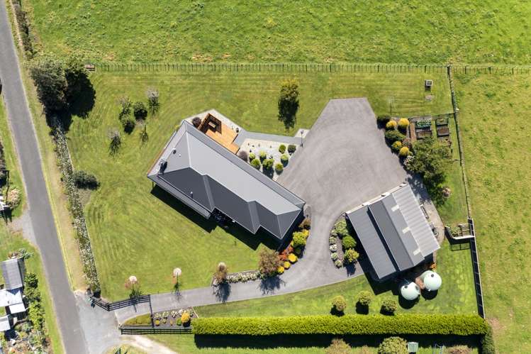 8 Pitt Road Hillsborough_21