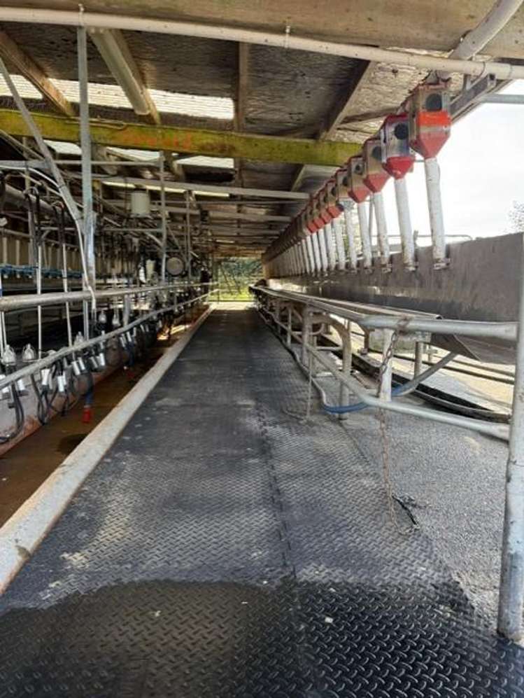 192-306 Johnston Road Kowhitirangi_7