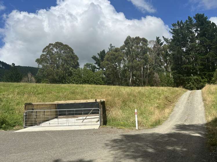 429 Scotts Road Linton_11