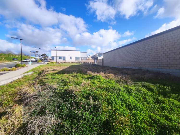 30 Puhikawa Street Massey_1