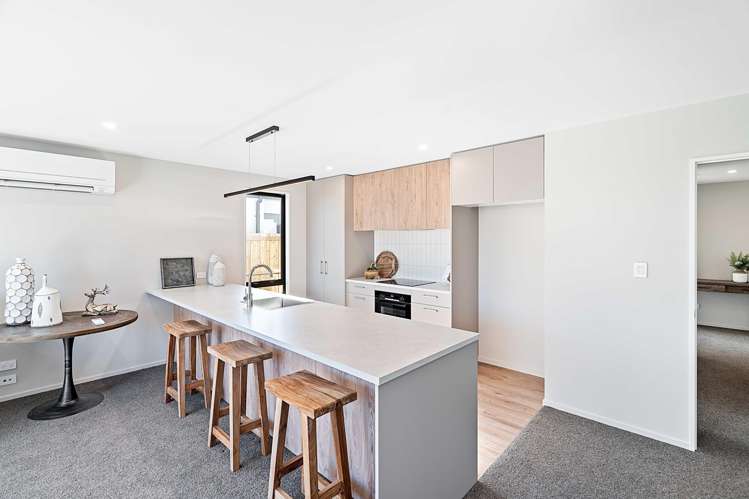 6a Bailey Street Templeton_1