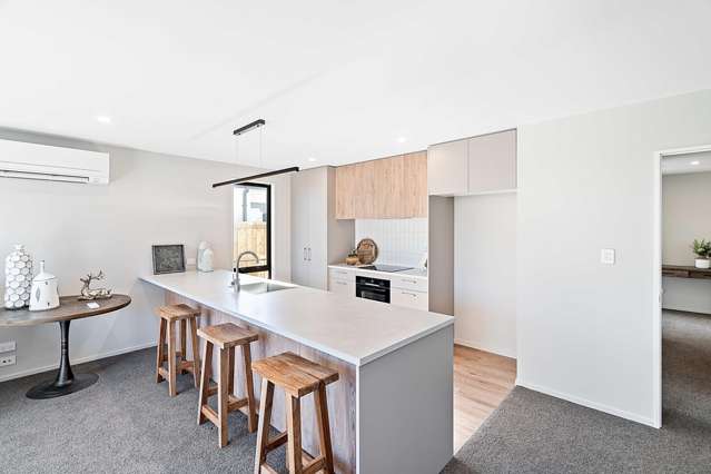 6a Bailey Street Templeton_1