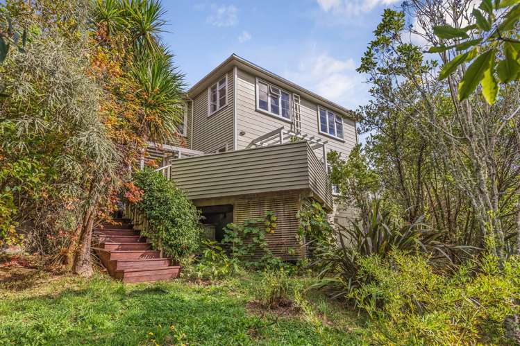 41 Orsman Crescent Toi Toi_11