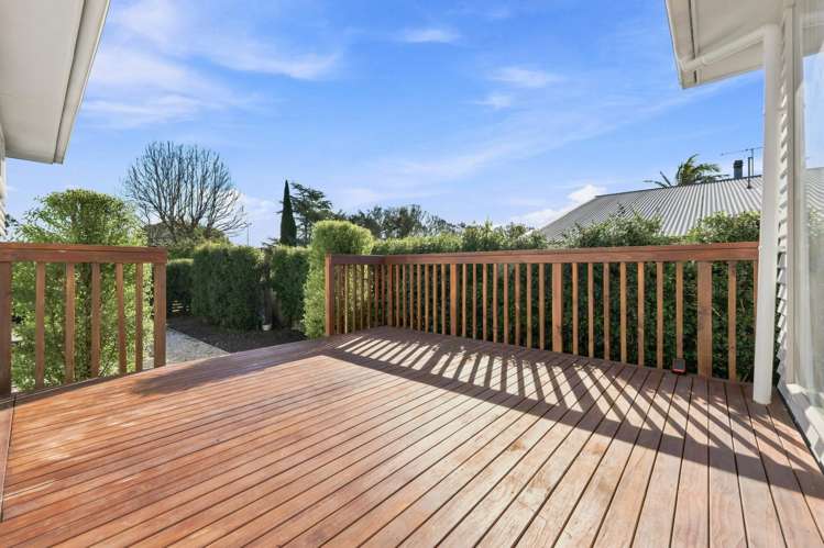17 Laurel Street Mount Albert_2