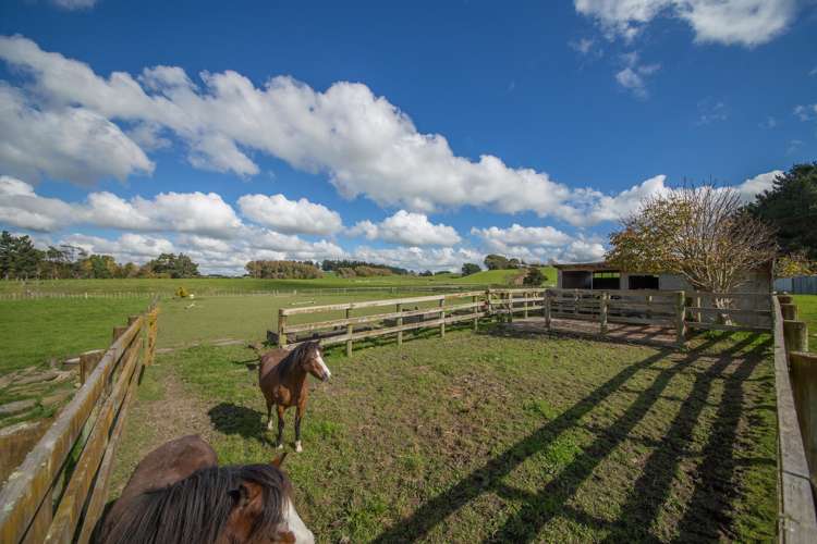 473 Lees Road Feilding_7