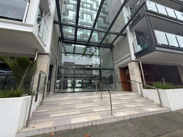 Auckland Grammar Zone - modern apartment