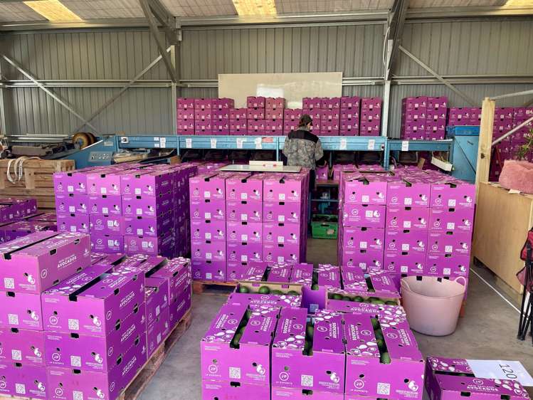 Matahui Road Aongatete_8