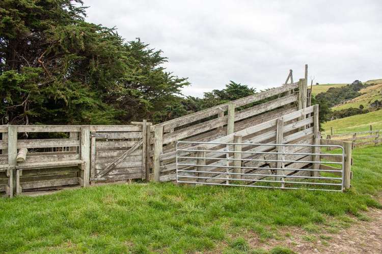 203 Paua Bay Road Akaroa_11