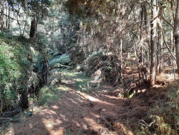 632a Sawyer Road Mangonui_9