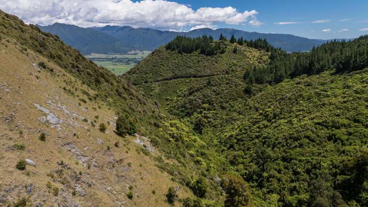 Lot 1 Rameka Creek Road Takaka_15