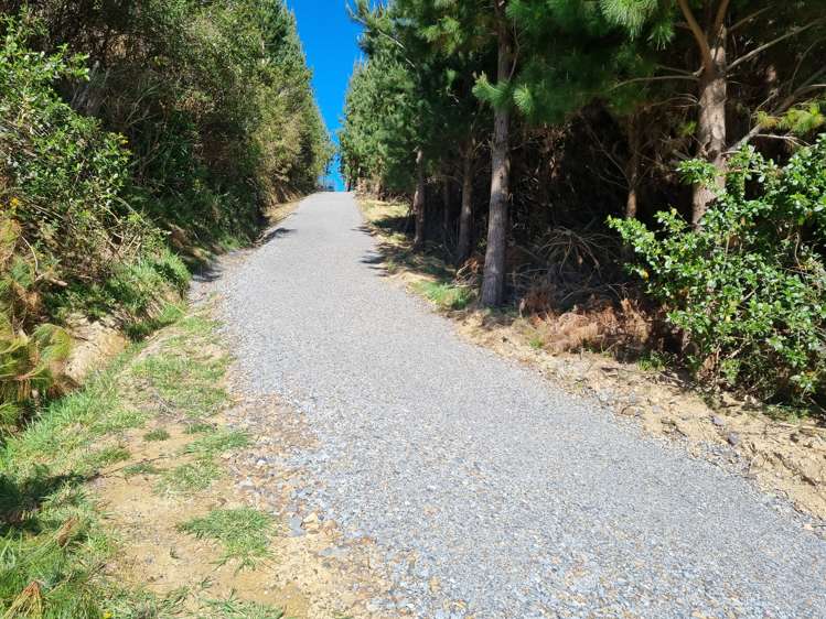 234 Stratton Street Normandale_15