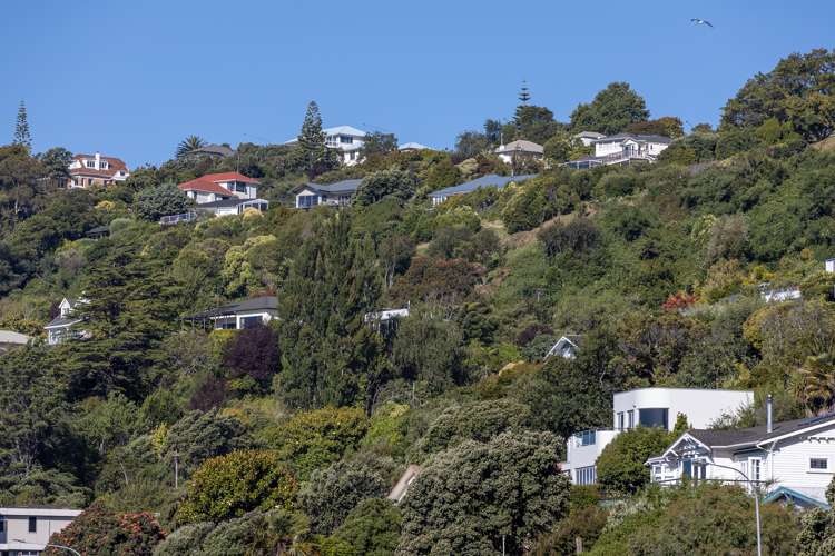 13a Moncrieff Avenue Moana_22