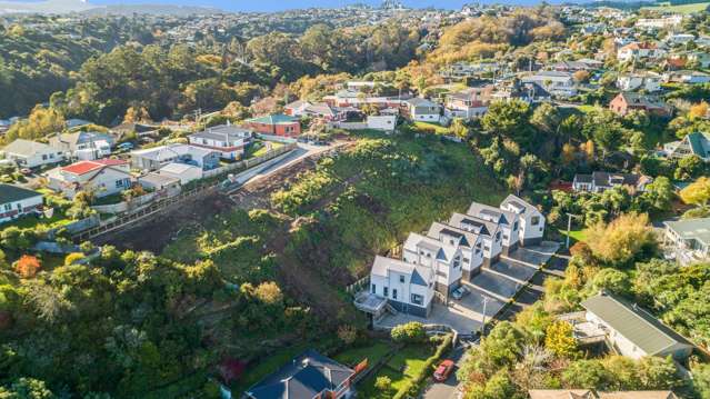 c Heath Street Andersons Bay_1