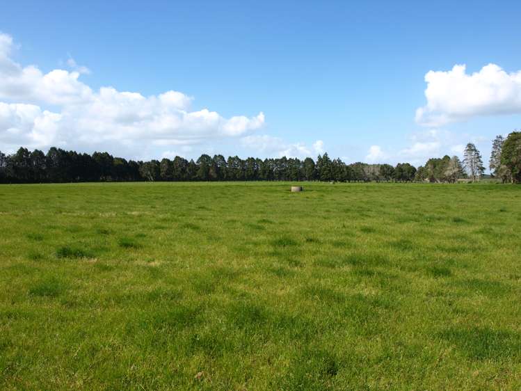 87 West Road Clevedon_0