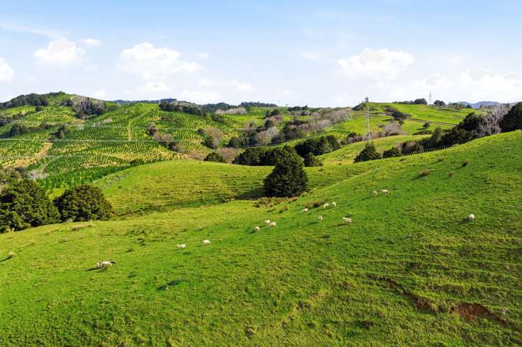 Lot 6 & 7 Otioro Road Topuni_25