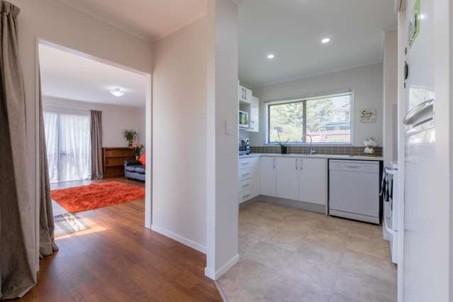 17 Adam Sunde Place Glen Eden_4