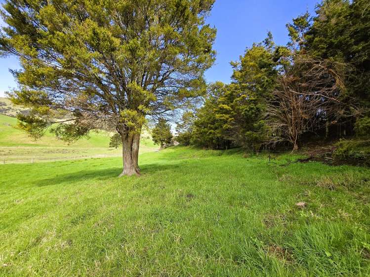 Whakahara Road Dargaville_17