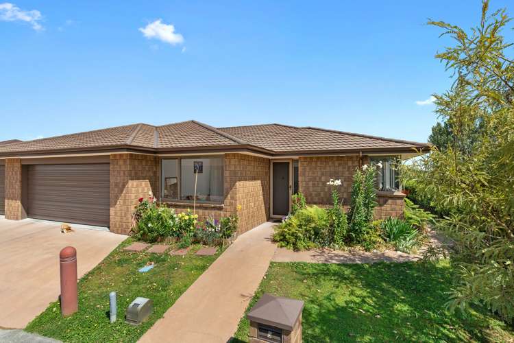 5/29 Terminus Street Te Aroha_1