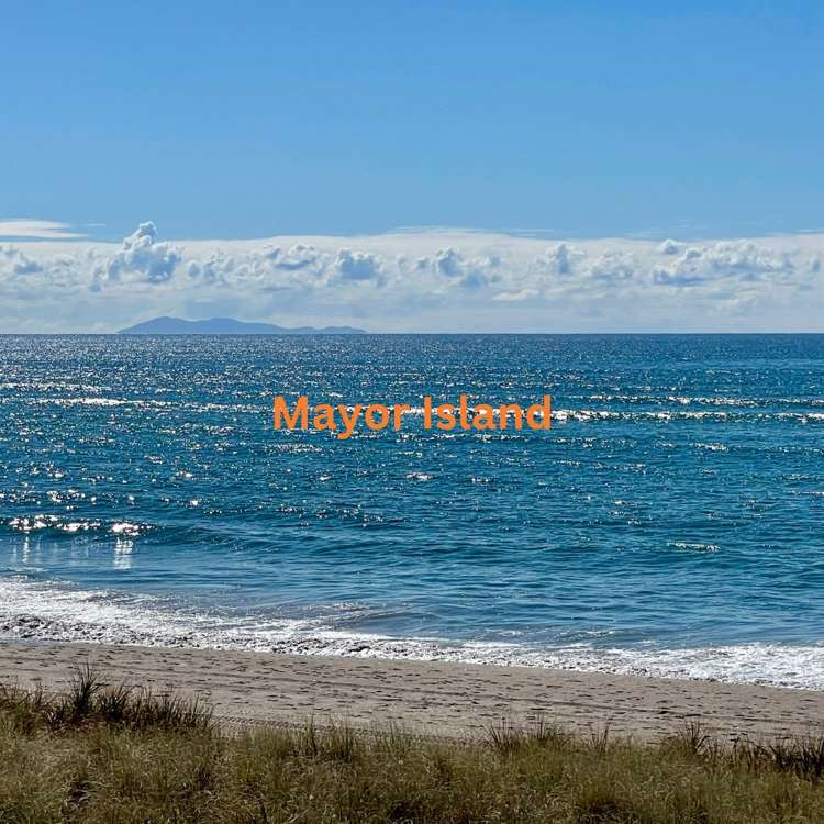 160 Karewa Parade Papamoa_29