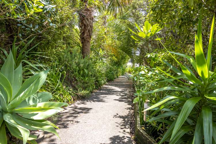 14 Belle Terrace Waiheke Island_25