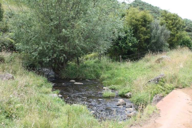 303 Arthur Road Te Pahu_4