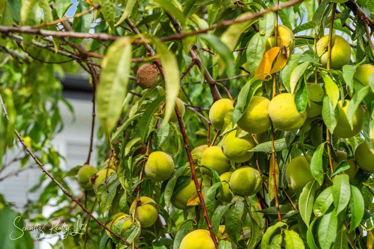 16 Whaka Road Maungaturoto_35