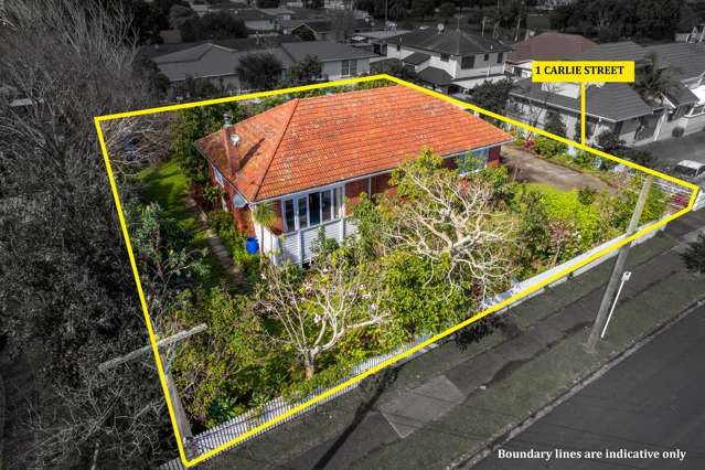 1 Carlie Street Papatoetoe_1