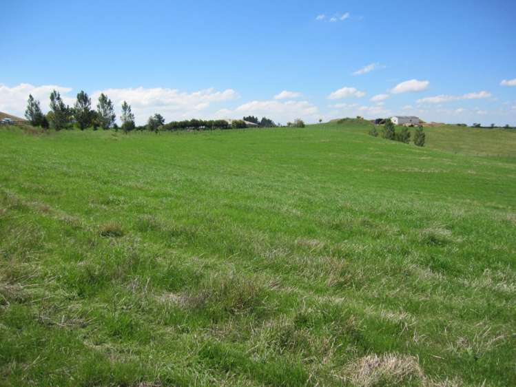 35 Jg Wilson Drive Waipukurau and Surrounds_2