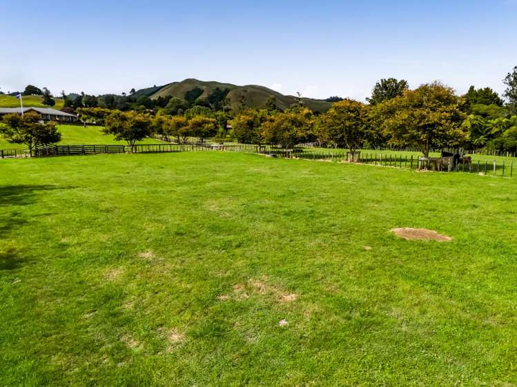 Weld Road Upper Oakura_14