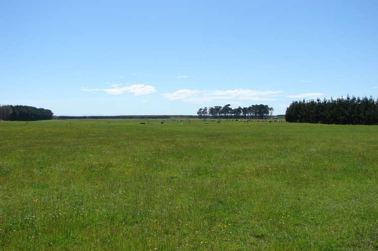 997 Waituna Lagoon Road Wyndham Surrounds_12