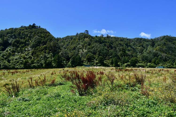 1/Lot 1 Kongahu Road Little Wanganui_19