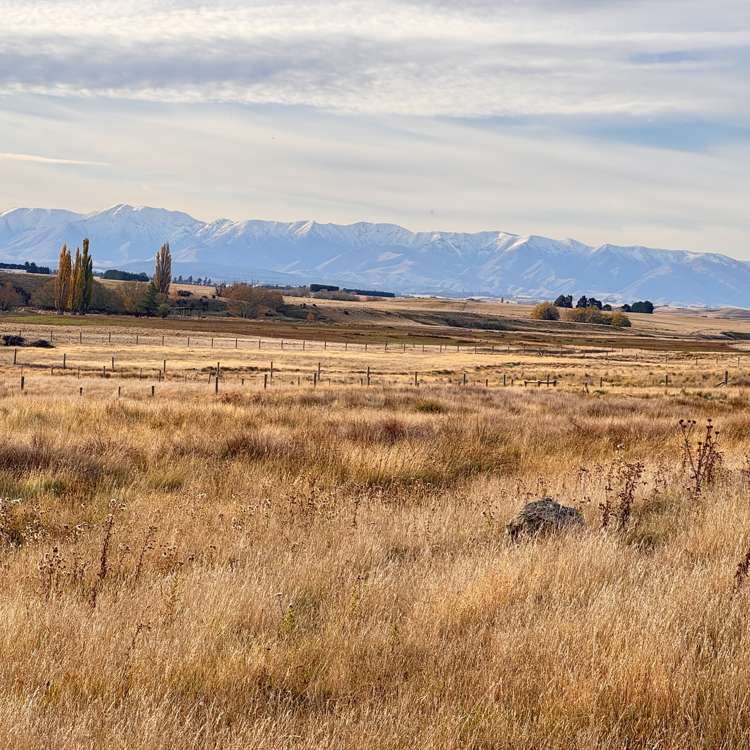 102-103 Ring Fence Road Waipiata_6