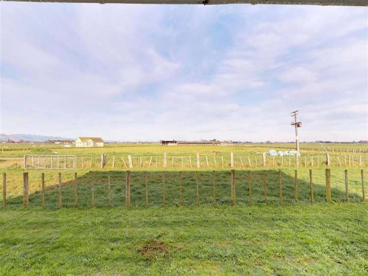 56 Riddiford Road 10649_13