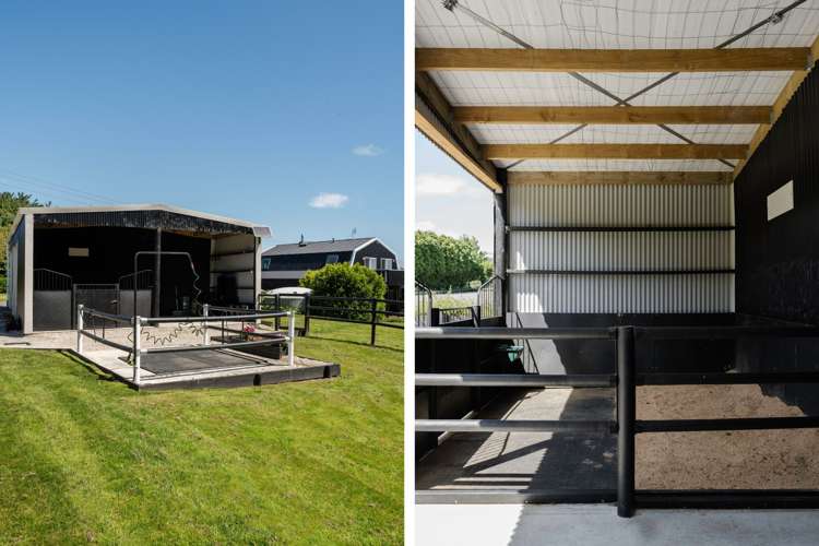 7e Walter Henry Drive Kaimai_17