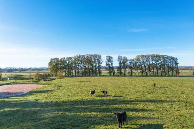 18 JG Wilson Drive Waipukurau_2